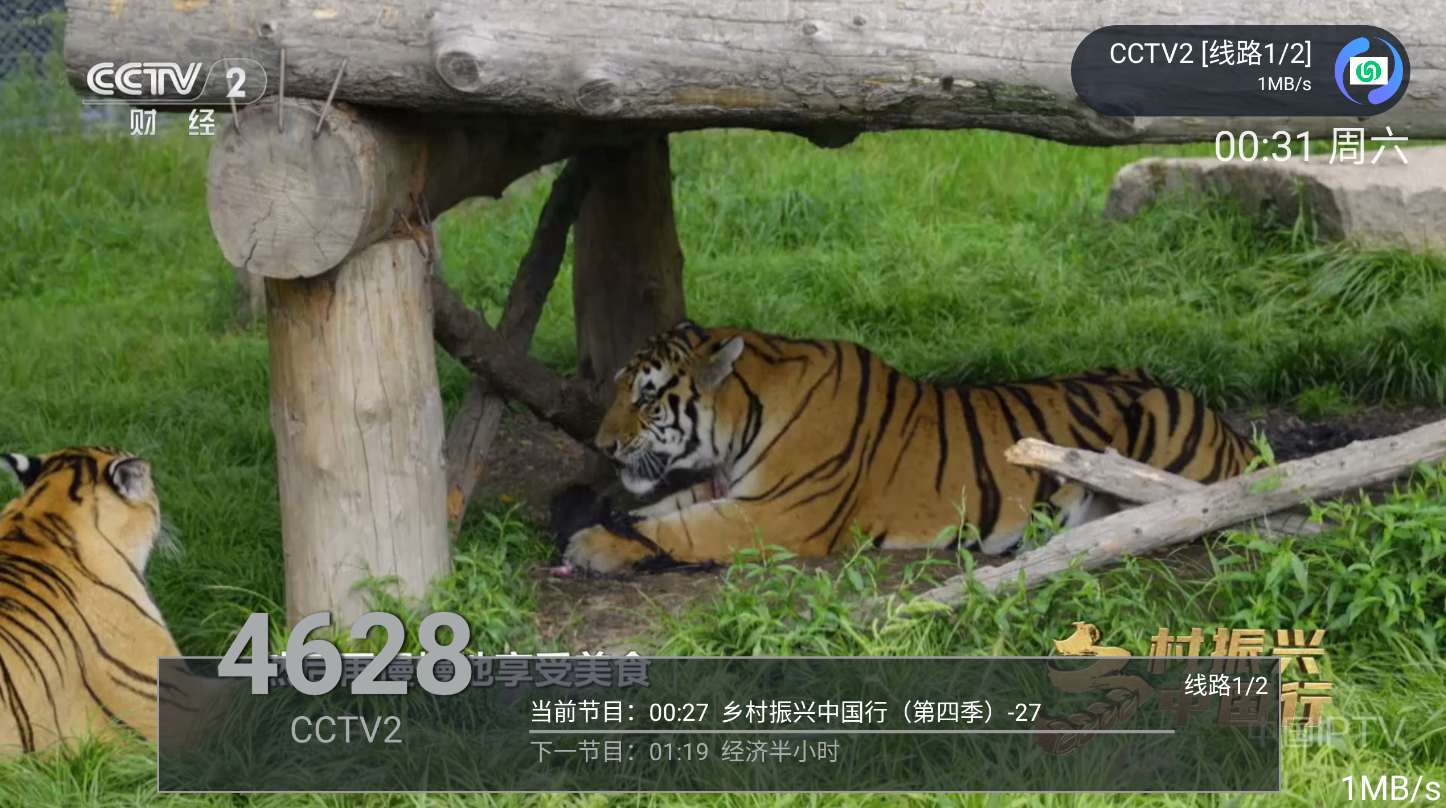 随便播TV应用截图